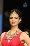 Celebs Walks the Ramp at IIJW 2012 - 11 of 297