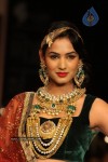 Celebs Walks the Ramp at IIJW 2012 - 19 of 297