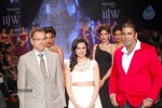 celebs-walks-the-ramp-at-iijw-2014-set-1