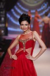 celebs-walks-the-ramp-at-iijw-2014-set-1