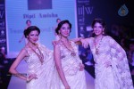 celebs-walks-the-ramp-at-iijw-2014-set-1