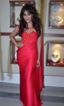 chitrangada-singh-launches-femina-bridal-cover