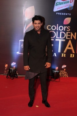 Colors Golden Petal Awards 2017 Red Carpet - 30 of 60