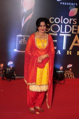 Colors Golden Petal Awards 2017 Red Carpet - 52 of 60