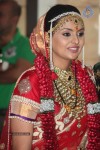 Deepshikha and Dheeraj Deshmukh Wedding Ceremony - 50 of 59