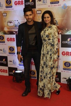 GR8 Indian Television Awards 2015 - 9 of 28