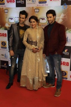 GR8 Indian Television Awards 2015 - 14 of 28