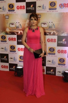 GR8 Indian Television Awards 2015 - 16 of 28