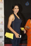 Hot TV Celebs at Indian Telly Awards 2012 - 61 of 106