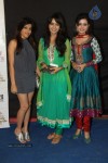 Hot TV Celebs at Indian Telly Awards 2012 - 62 of 106