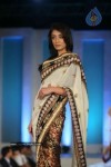 India Fashion Forum 2011 Fashion Show - 36 of 84