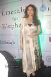 Madhuri Dixit at Emeralds for Elephants Launch - 11 of 29