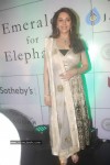 Madhuri Dixit at Emeralds for Elephants Launch - 18 of 29