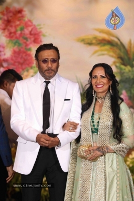 Sonam Kapoor And Anand Ahuja Wedding Reception Photos - 6 of 37