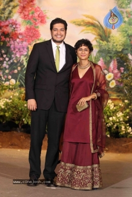 Sonam Kapoor And Anand Ahuja Wedding Reception Photos Set 2 - 2 of 42
