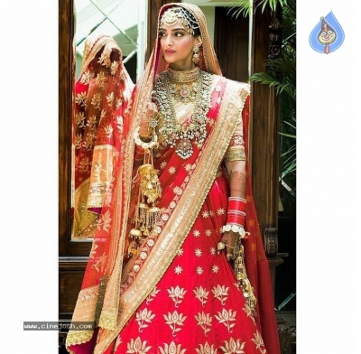 Sonam Kapoor Wedding Photos Set1 - 2 of 18