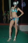 spicy-models-at-indian-princess-2011-bash