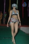 spicy-models-at-indian-princess-2011-bash