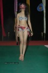 spicy-models-at-indian-princess-2011-bash