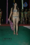 spicy-models-at-indian-princess-2011-bash