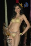 spicy-models-at-indian-princess-2011-bash