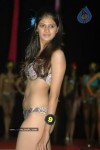 spicy-models-at-indian-princess-2011-bash