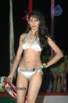 spicy-models-at-indian-princess-2011-bash