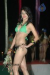 spicy-models-at-indian-princess-2011-bash