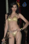 spicy-models-at-indian-princess-2011-bash