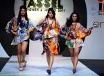 tassel-designer-awards-2011-fashion-show