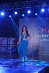 TV Celebs Walk The Ramp at Telly Calendar 2015 Launch - 16 of 98