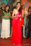 Yeh Saali Zindagi Movie Music Launch - 3 of 90