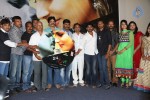 24 by Love Movie Audio Launch - 11 of 63