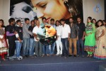 24 by Love Movie Audio Launch - 16 of 63