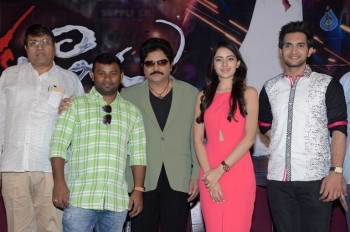 Aakatayi Movie Success Meet - 14 of 34