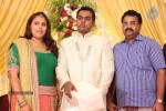 Actor Pandu Son Wedding Reception - 6 of 36