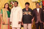 Actor Pandu Son Wedding Reception - 10 of 36
