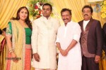 Actor Pandu Son Wedding Reception - 13 of 36