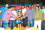 aha-naa-pellanta-movie-success-meet