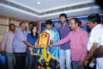 aha-naa-pellanta-movie-success-tour-stills