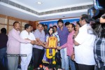 aha-naa-pellanta-movie-success-tour-stills