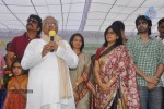 Akkineni Nageswara Rao Birthday Celebrations 2011 - 24 of 69