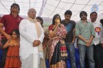 Akkineni Nageswara Rao Birthday Celebrations 2011 - 50 of 69