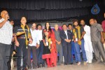 Alandur Fine Arts Awards 2014 - 70 of 102