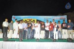 All The Best Movie Audio Launch - 30 of 60