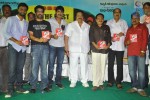 All The Best Movie Audio Launch - 34 of 60