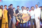 alludu-seenu-movie-audio-launch-04
