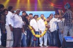 alludu-seenu-movie-audio-launch-04