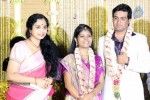 ALS Nachiappan Son Wedding Reception - 10 of 70