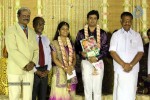 ALS Nachiappan Son Wedding Reception - 11 of 70